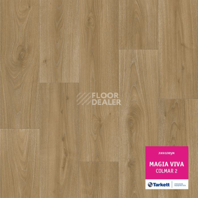 Линолеум Tarkett Magia Viva COLMAR 2 фото 1 | FLOORDEALER
